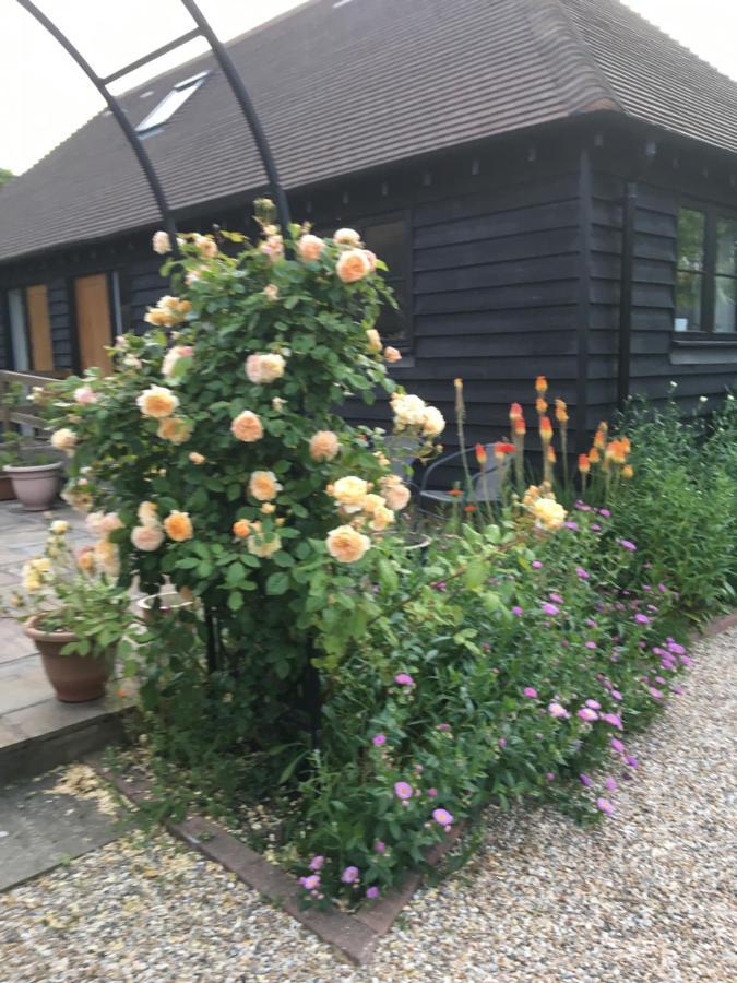 Little Orchard Cottage Canterbury Exteriör bild